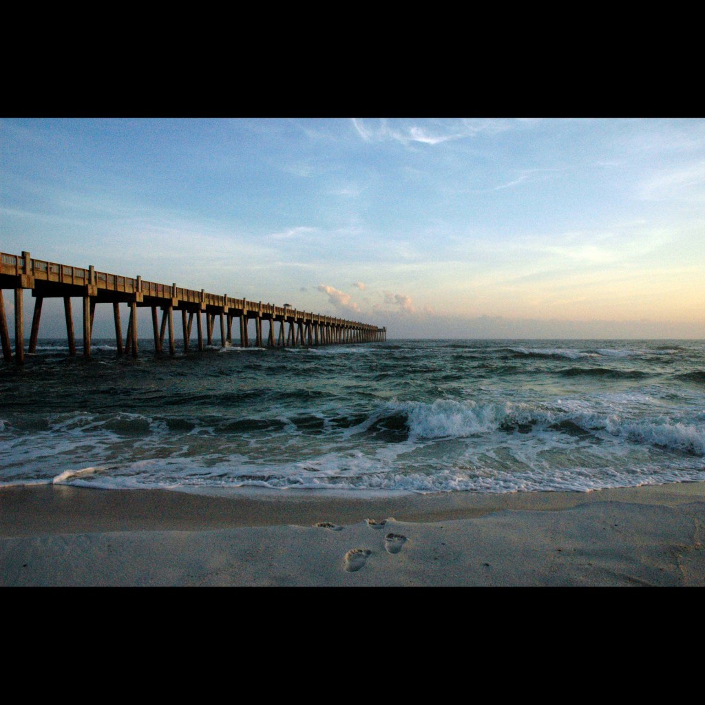 Strangle the struggling&nbsp;artist