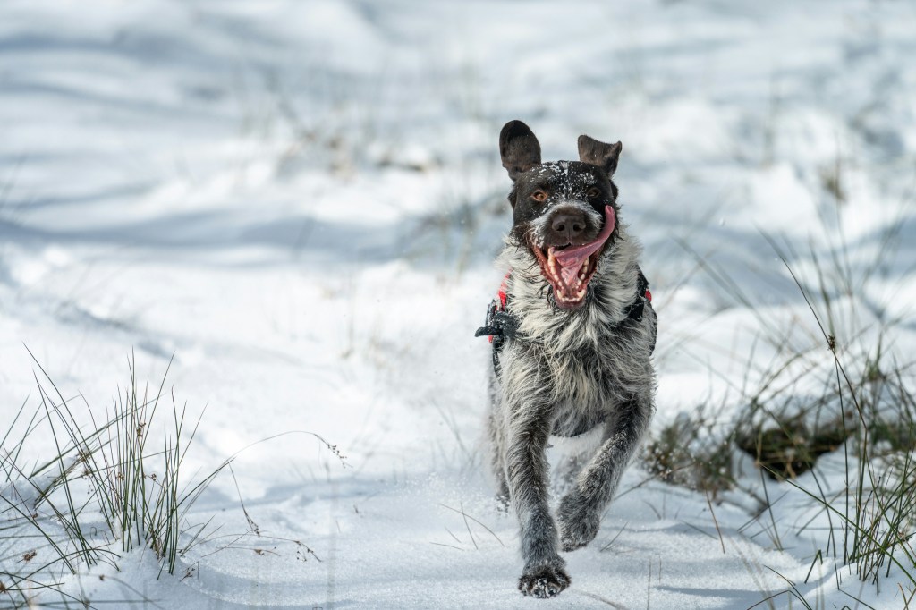 Running full speed at&nbsp;life