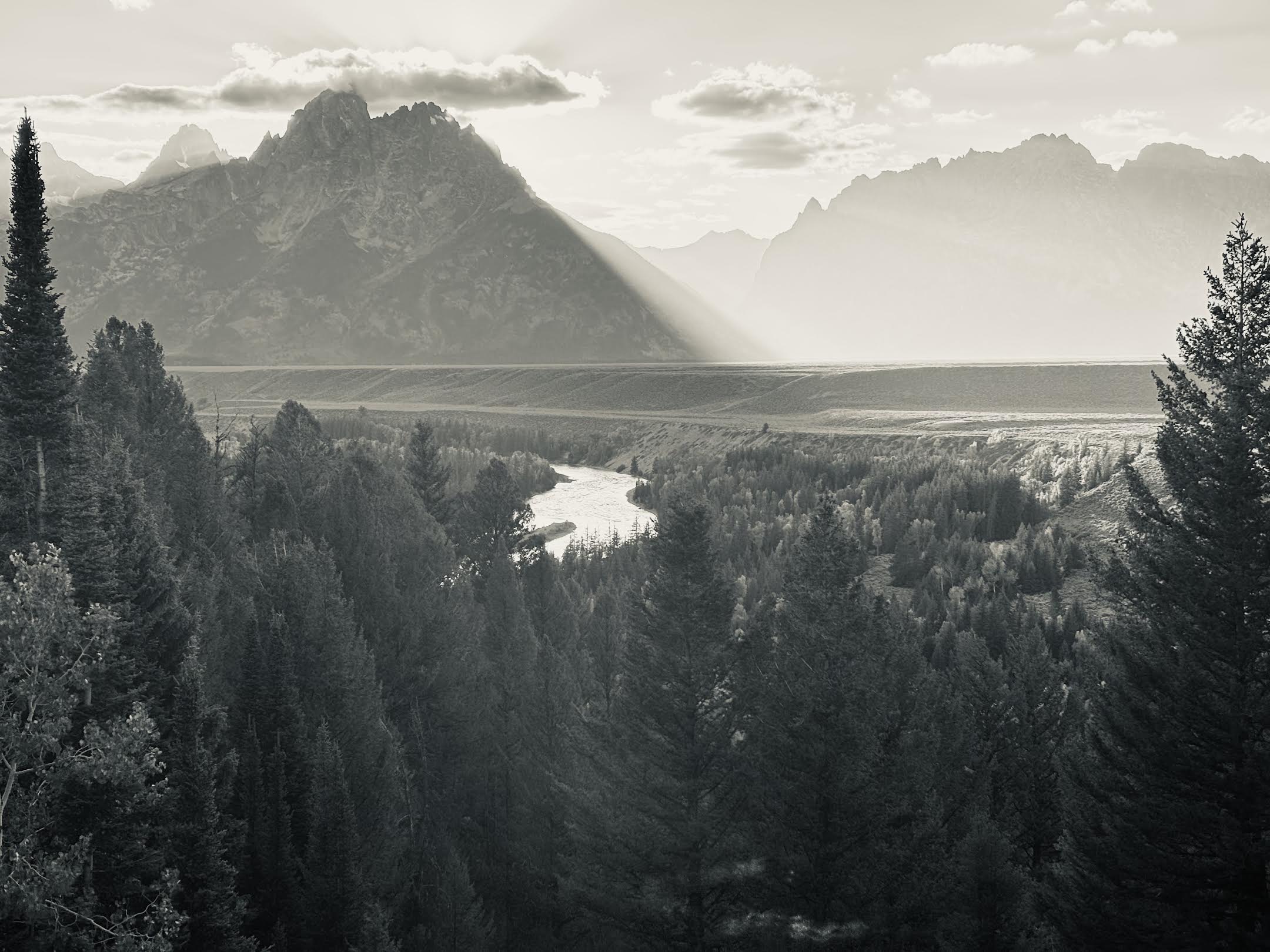 I saw a tiny mouse thing in the Grand Tetons